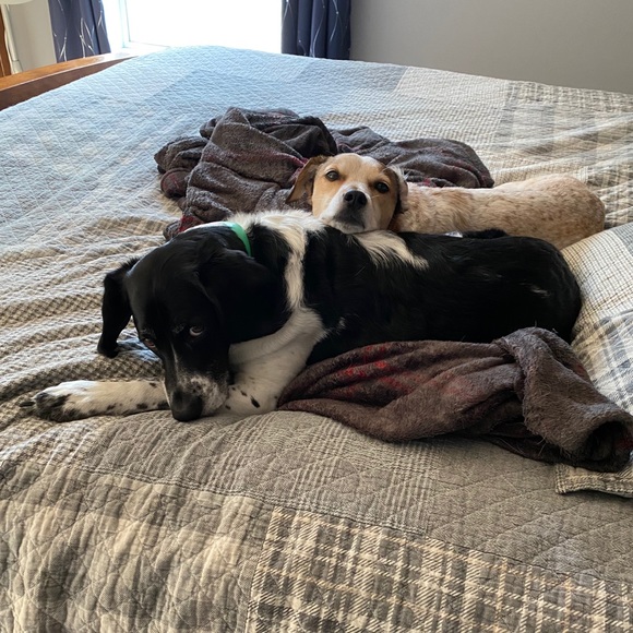 Meet your Posher, Ruth - Picture 1 of 1